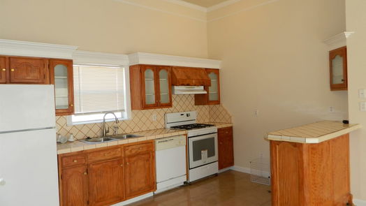 Houston null-story, 3-bed 14731 Briton Cove Drive-idx