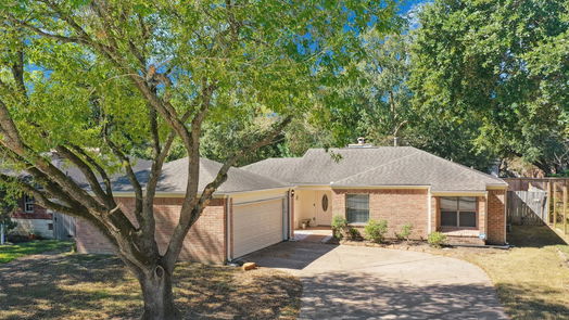 Houston null-story, 3-bed 2019 Rainlily Drive-idx