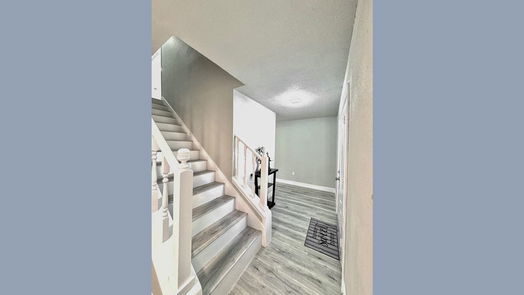 Houston 2-story, 4-bed 2111 Whiteback Drive-idx