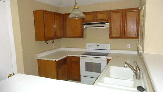 Houston 1-story, 1-bed 11019 Crenchrus Court-idx