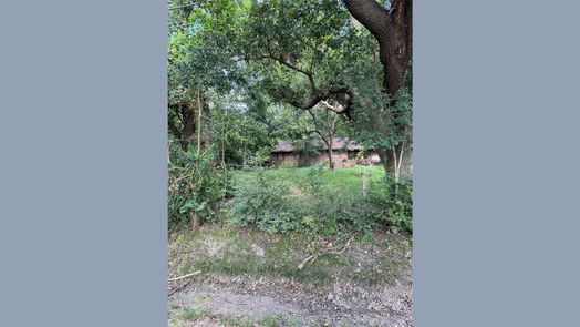 Houston 1-story, 4-bed 13222 Ann Louise Road-idx