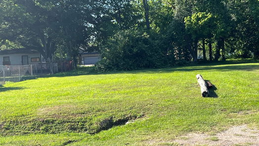 Houston null-story, null-bed 0 St Clair Street-idx