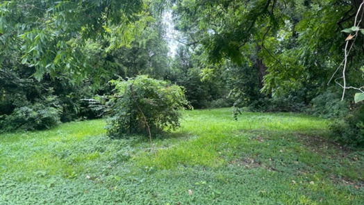 Houston 1-story, 2-bed 962 Wall Street-idx