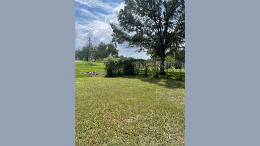 Houston 1-story, 3-bed 5423 Bent Bough Lane-idx