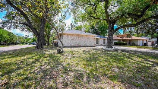 Houston 1-story, 4-bed 1411 Peach Spring Drive-idx