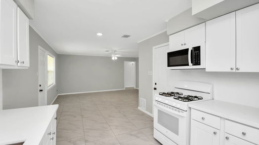 Houston null-story, 3-bed 9119 Rutherford Lane-idx