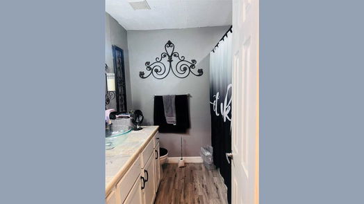 Houston 2-story, 4-bed 10403 Sagewick, Dr Drive-idx
