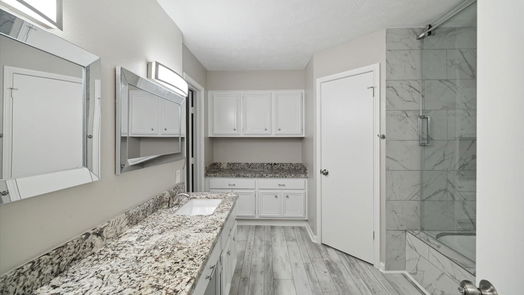 Houston 2-story, 4-bed 9934 Sageroyal Lane-idx