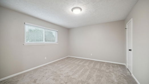 Houston 2-story, 4-bed 9934 Sageroyal Lane-idx