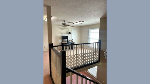 Houston 2-story, 4-bed 10007 Sagemill Drive-idx