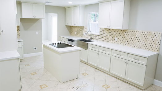 Houston 1-story, 4-bed 1703 Grand Valley Drive-idx