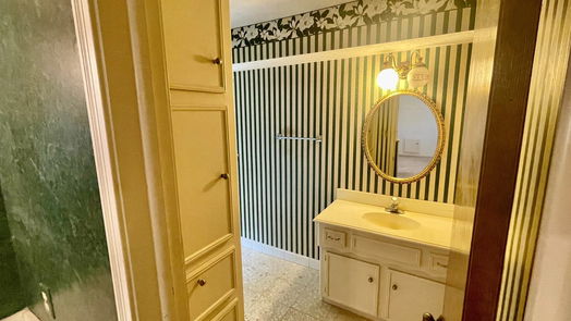 Houston 2-story, 4-bed 723 Loire Lane-idx