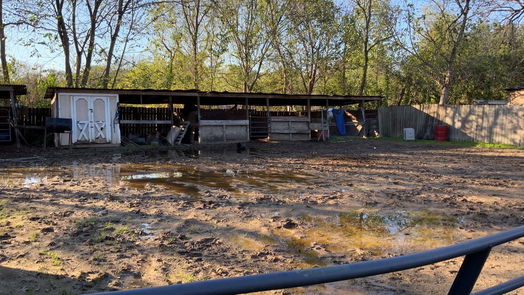 Houston 1-story, 4-bed 6217 Nuben Street-idx