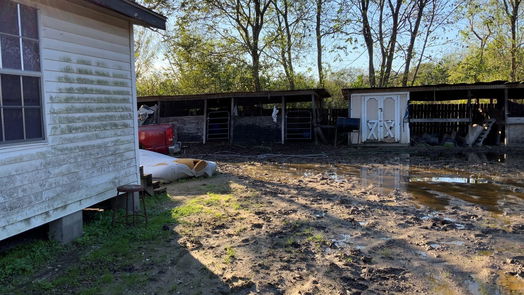 Houston 1-story, 4-bed 6217 Nuben Street-idx