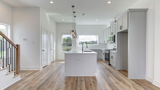 Houston 3-story, 3-bed 1102 Paul Quinn Street L-idx