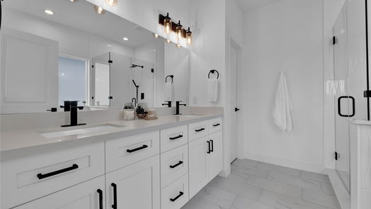 Houston 3-story, 3-bed 1102 Paul Quinn Street O-idx