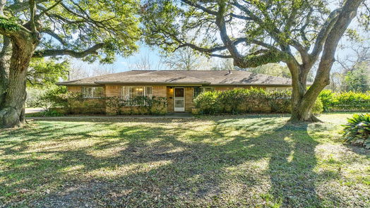 Houston 1-story, 3-bed 405 Hohldale Street-idx