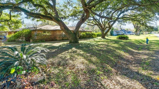 Houston 1-story, 3-bed 405 Hohldale Street-idx