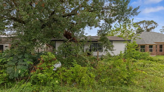 Houston 1-story, 3-bed 6613 Goldspier Street-idx