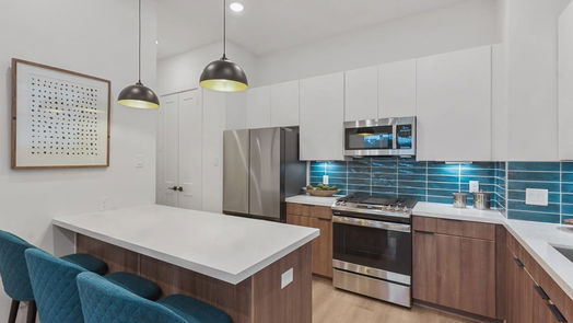 Houston 3-story, 3-bed 6614 Goldspier Street-idx