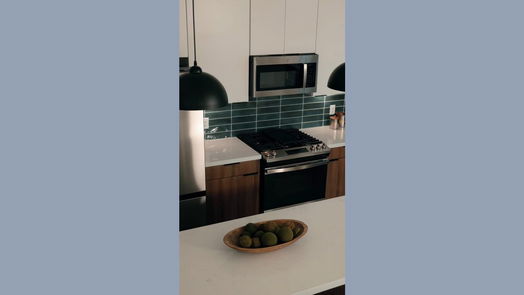 Houston 3-story, 3-bed 6614 Goldspier Street-idx