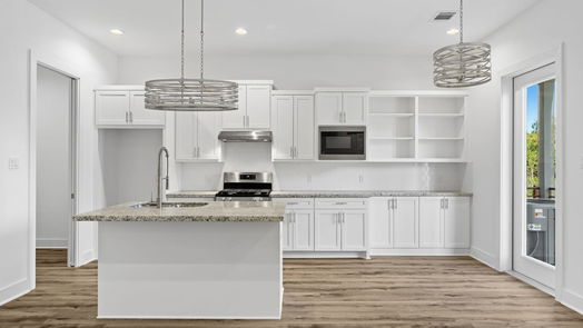 Houston 2-story, 4-bed 5612 Savyon Drive-idx