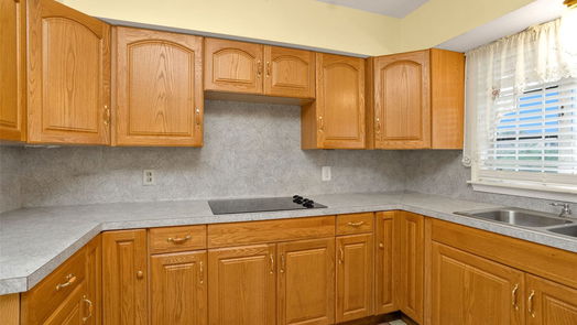 Houston null-story, 3-bed 3919 Gardendale Drive-idx