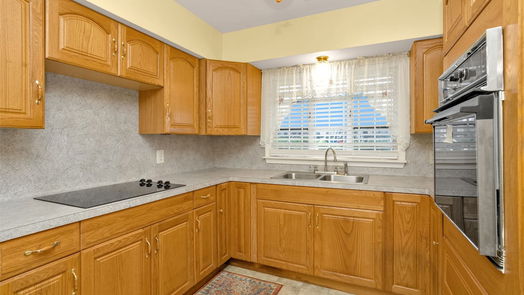 Houston null-story, 3-bed 3919 Gardendale Drive-idx