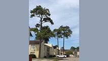 Condos for sale-3