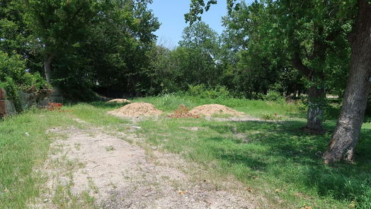 Houston null-story, null-bed 3501 Wiley Road-idx