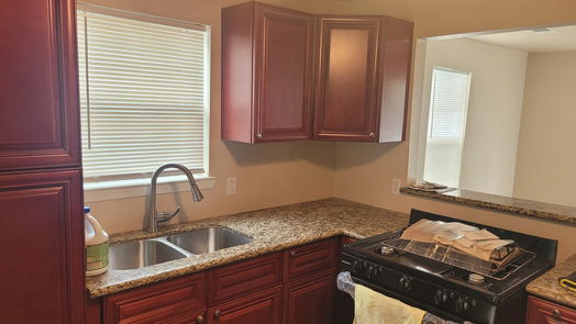 Houston 1-story, 3-bed 4010 Amalie Street-idx