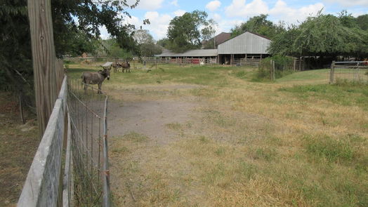 Houston 1-story, 3-bed 2234 Baker Road-idx