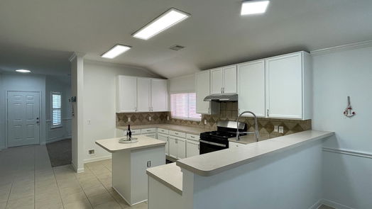 Houston 1-story, 4-bed 17438 Prospect Meadows Drive-idx