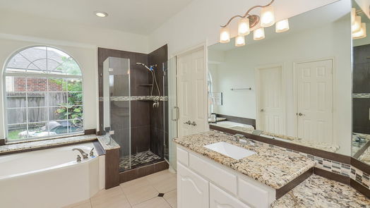 Houston 2-story, 5-bed 17031 Feather Fall Lane-idx