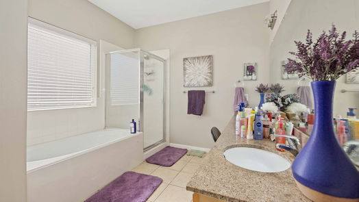 Houston 2-story, 4-bed 21003 Narrow Gate Drive-idx