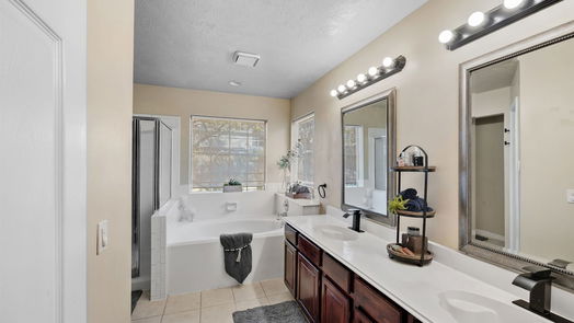 Houston 1-story, 4-bed 17210 Crown Meadow Court-idx