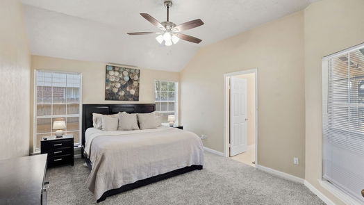 Houston 1-story, 4-bed 17210 Crown Meadow Court-idx