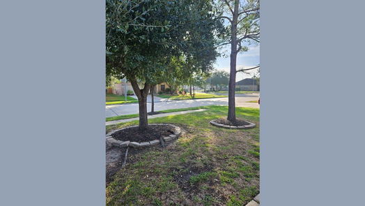 Houston 2-story, 5-bed 9707 Pine Bank Drive-idx