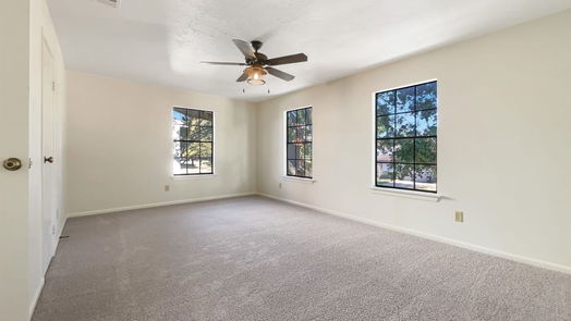 Houston 2-story, 3-bed 15807 Pinyon Creek Drive-idx