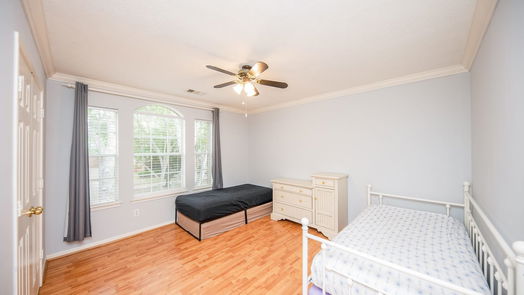Houston 2-story, 4-bed 17319 Kiowa River Lane-idx