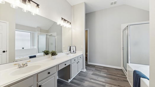 Houston 1-story, 4-bed 10443 Indian Paintbrush Lane-idx