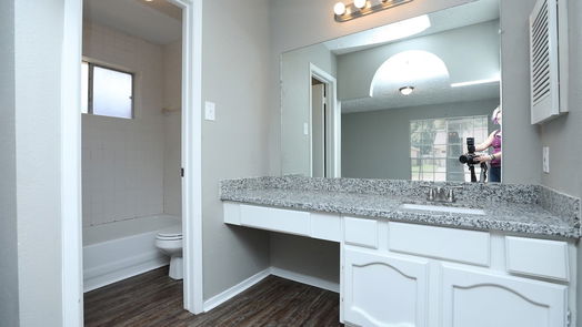 Houston 1-story, 3-bed 16327 Sky Blue Lane-idx