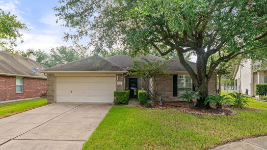 Houston 1-story, 3-bed 8806 Gas Light Village Drive-idx