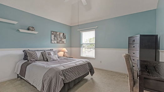 Houston 2-story, 3-bed 17311 Buffalo Pass Drive-idx