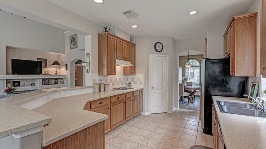 Houston 2-story, 3-bed 17311 Buffalo Pass Drive-idx