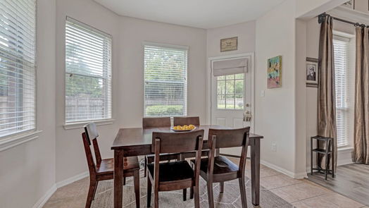 Houston 2-story, 3-bed 17311 Buffalo Pass Drive-idx