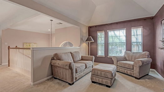 Houston 2-story, 3-bed 17311 Buffalo Pass Drive-idx