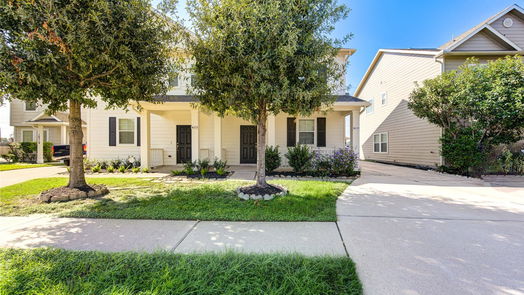 Houston 2-story, 3-bed 16727 Mammoth Springs Drive-idx