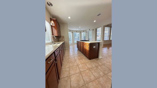 Houston 2-story, 4-bed 17323 Mesquite Brush Lane-idx