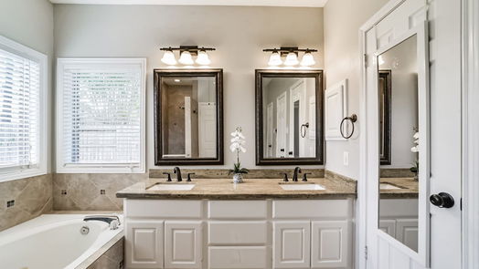 Houston 1-story, 4-bed 7531 Basswood Forest Court-idx